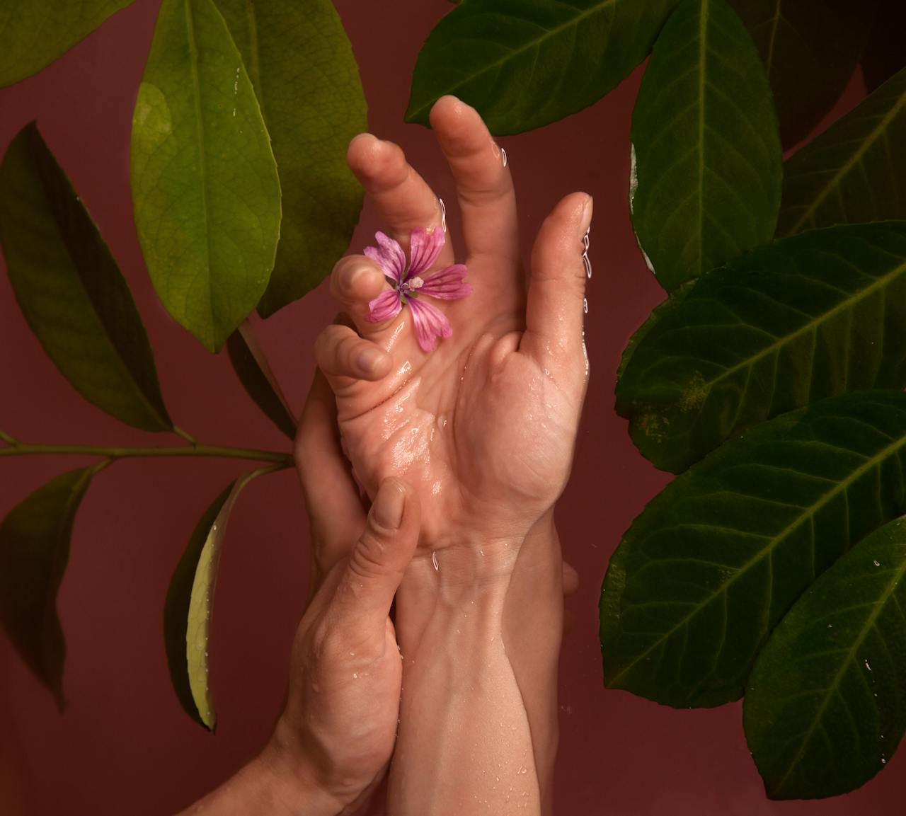 Does your skin really absorb 60% of everything you put on it?!